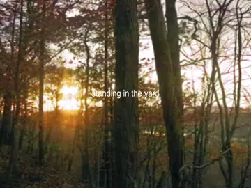 the lawn is dead #adriannelenker #halfreturn #песня #рекомендации #fyp 