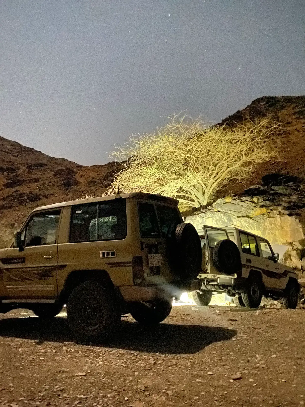 #تصويري #المدينه_المنوره #ترند_تيك_توك_مشاهير 