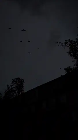 ويوم يعض الظالم على يديه يقول يا ليتني اتخذت مع الرسول سبيلا . #you #foryou #سعود_الفايز #قرآن_کریم #الحمدلله_على_نعمة_الاسلام 