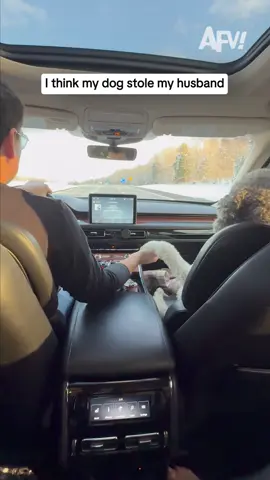 That SIDE EYE THO 😂 #afv #dogs #funny