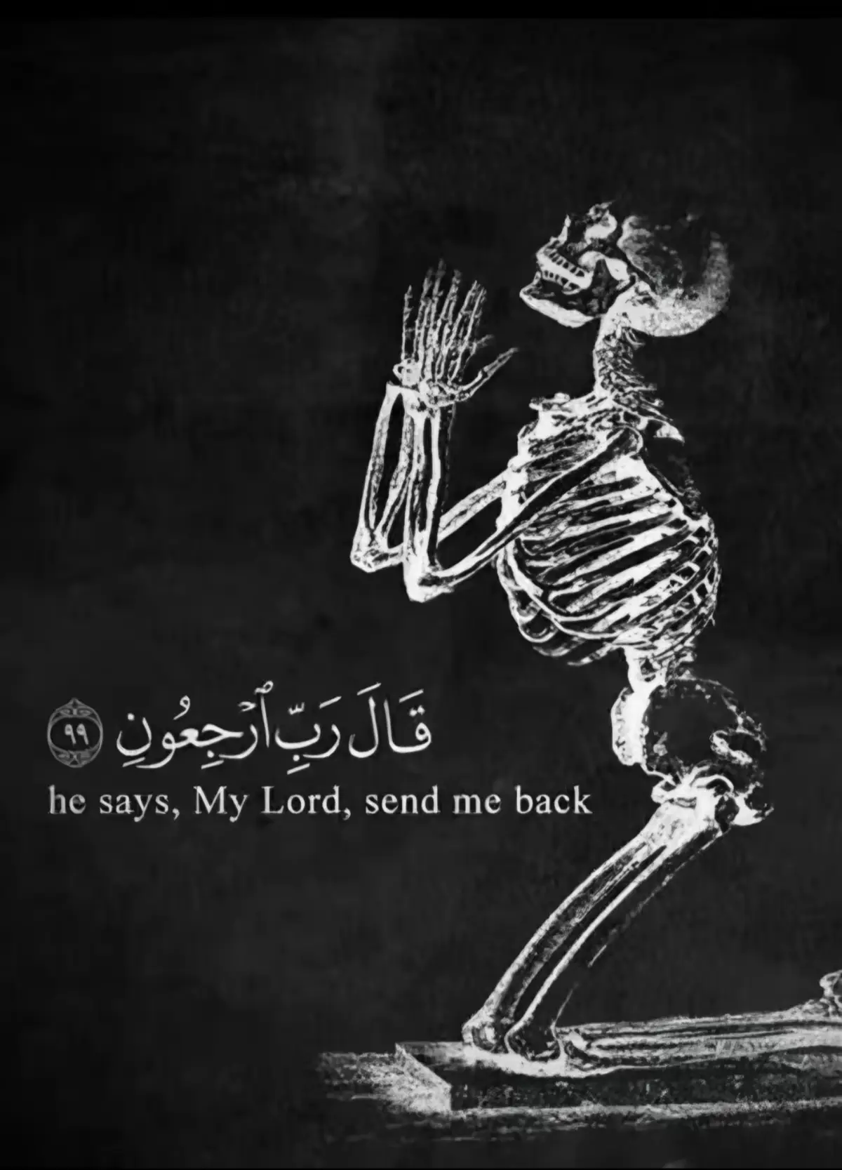 #creatorsearchinsights 