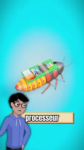 Les cafards sauveteurs c’est l’avenir #Science #education #technologie 