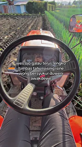 #fyp #jepang #pertanian #tokuteiginou #