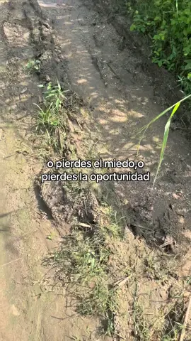 La decisión es tuya 🫵#paratiiiiiiiiiiiiiiiiiiiiiiiiiiiiiii #decision #motivacion #biker #sueños 