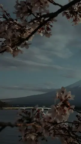 سَيعوضك و سَيراضيك و سَيجبر بخاطرك لانه اللُّه🥺❤🌹#الحمدلله_دائماً_وابداً💚 