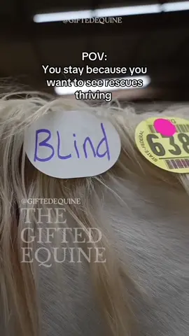 Well it’s a new month, winter is approaching which means hay cost rises. Cold days & nights means we feed more hay.  ANY support we would be so thankful  🙏🏼