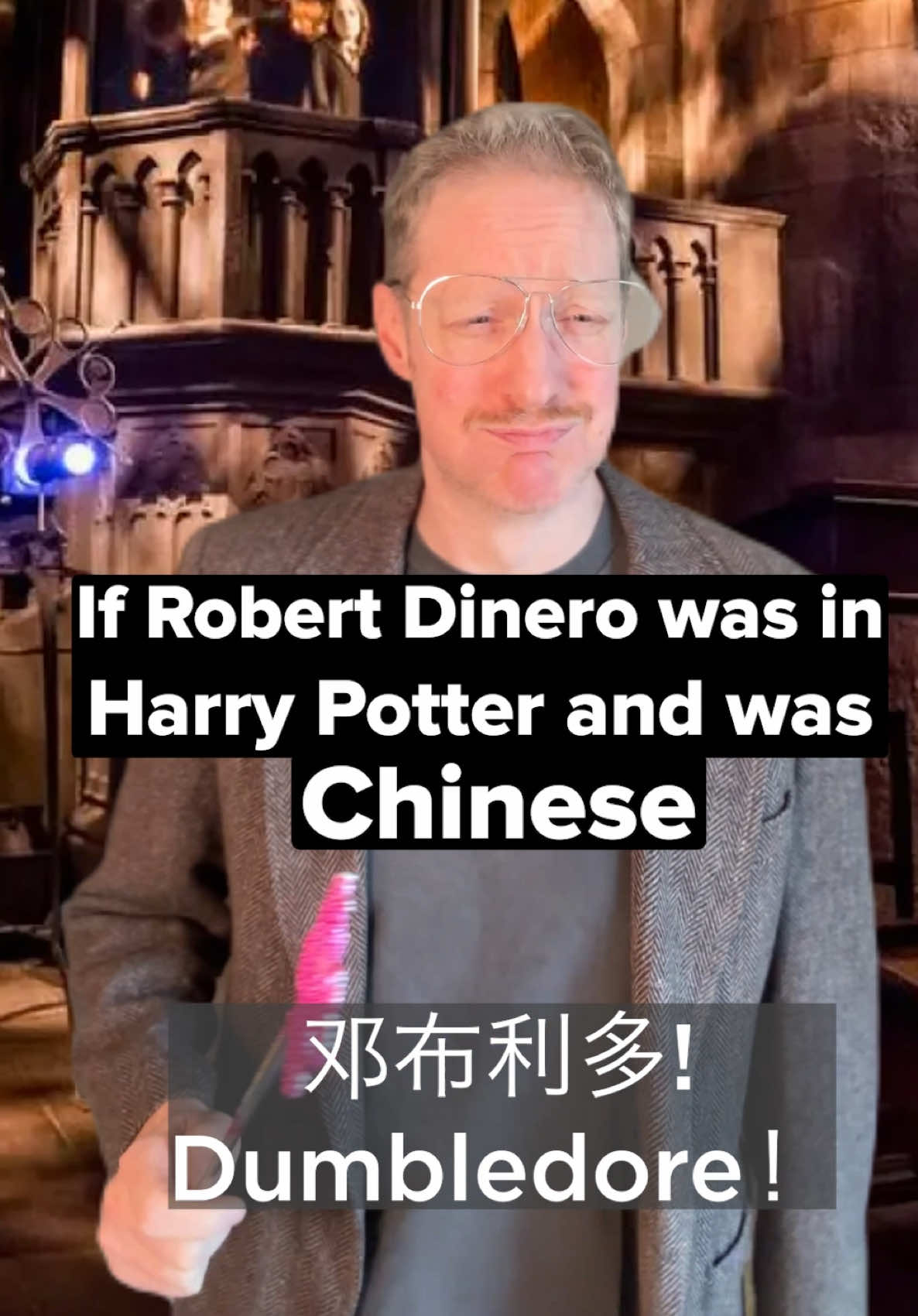 We all know how Robert Dinero is known for playing tough mafia guys and not little wizard boys- but what if he did? And was also Chinese?! #harrypotter 