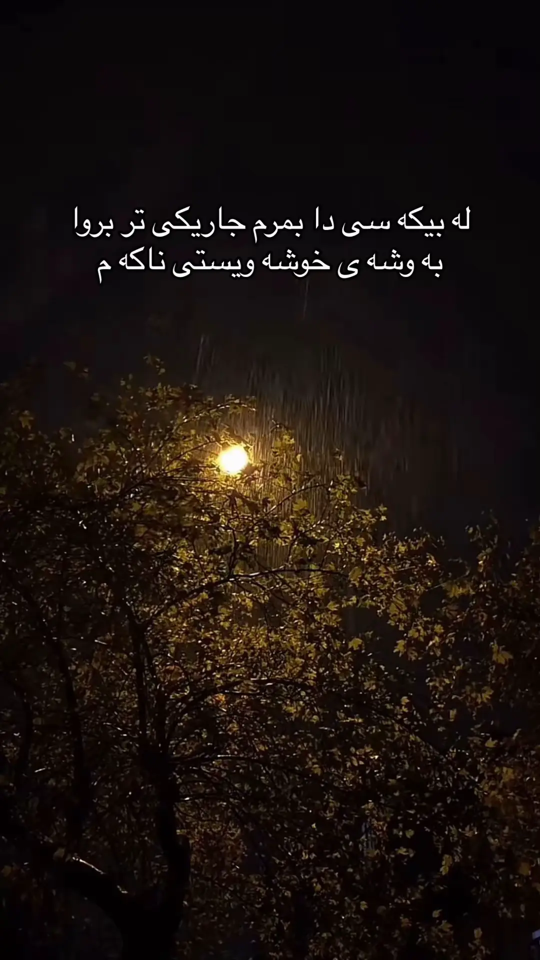 #💔🥀  #hawler_slemani_dhok_karkuk_hallabja 