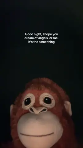 Good night pookie #ikeamonkey #fun #goodnight #cutie #foru