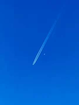 لما سار المركب نساني #ياطيبة #تصويري 