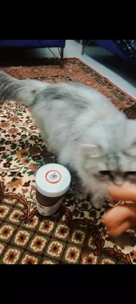 #لا_حول_ولا_قوة_الا_بالله 