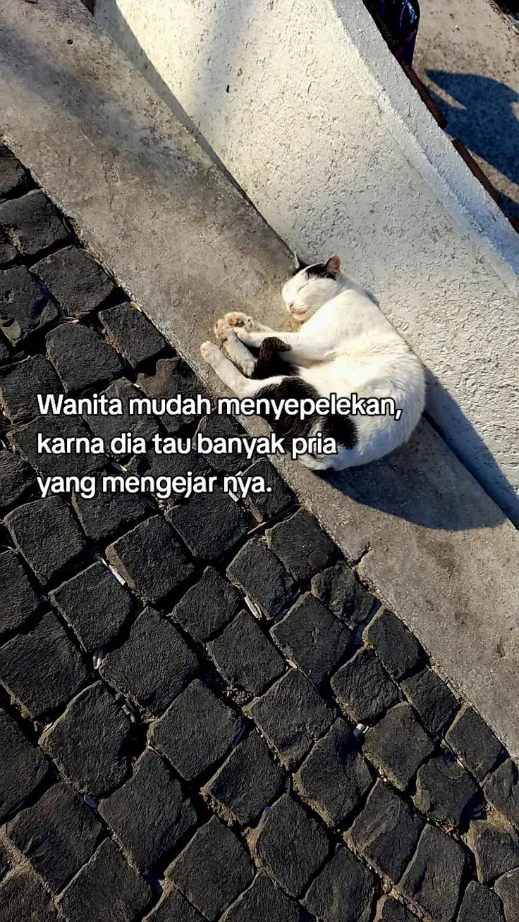 Fakta😌😌 #storytime⏳ #foryoupage❤️❤️ #storywhatsapp 