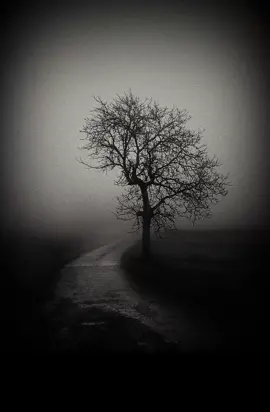 ما دُمت في طريق الحق، لا تهتم لكلام الاخرين! #الدكتور_الشيخ_أحمد_الوائلي 