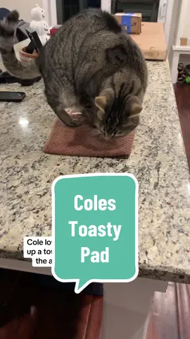 He’s a toasty loafy 😻🍞