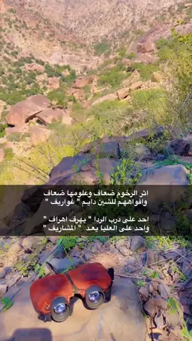 #شعر #مناظر_طبيعية #fyp #foryou #viral 