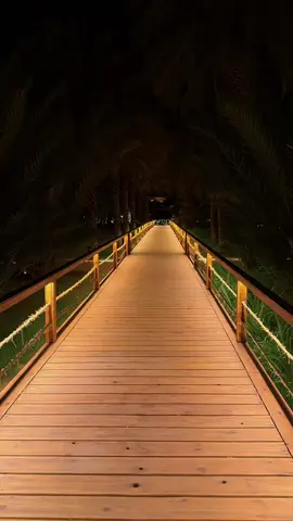 #alula #العلا #هواجيس #اكسبلور #ا 