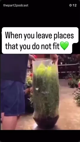 You are too valuable to be in spaces you are not wanted, valued, respected….