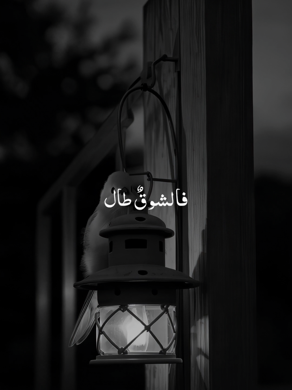 اللّهم بلغناَ رَمَضَانَ 