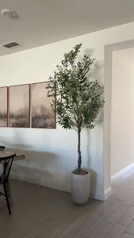 so beautiful 😍 #olivetree #neutralaesthetic #Home #organicmodern #homefinds 