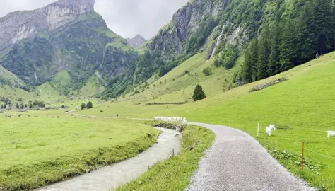 Nature vibe #peace #naturevibes #viwes 