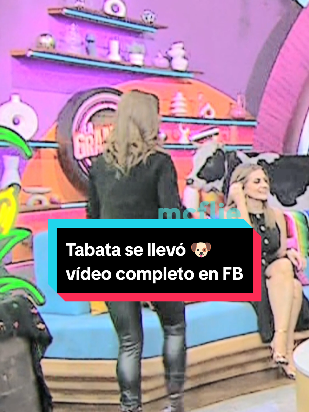 Tabata Jalil se llevó 🐶 al trabajo. VIDEO COMPLETO EN FB