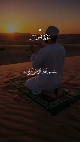 #quran #قران_كريم #قران 