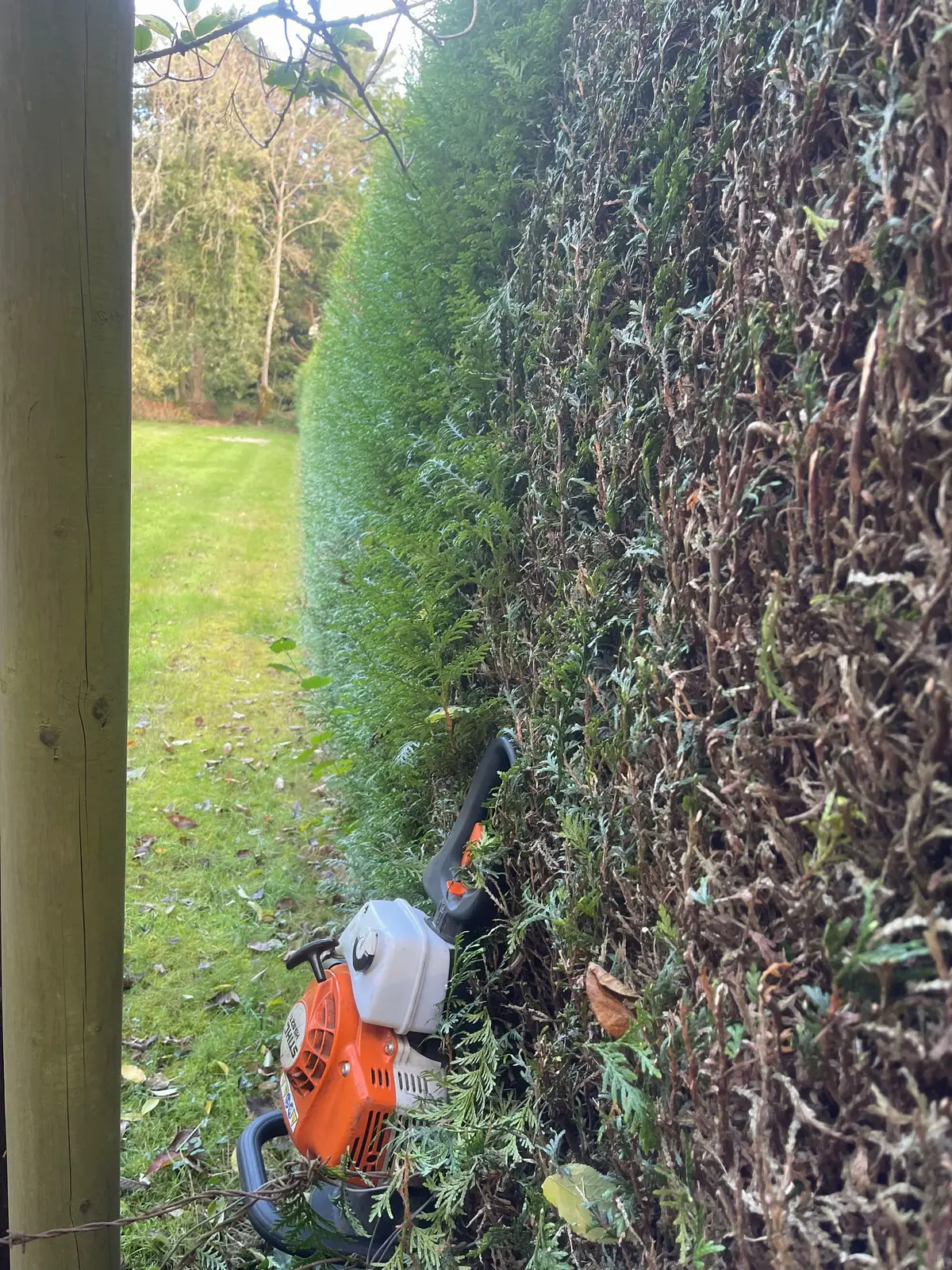 #lesbuchvertes💚 #haie #paysagiste #pourtoi #fyp 