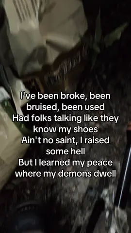 This song hits deep #borrowedtime #breakingrust #bluecollar #qoutes #repost 