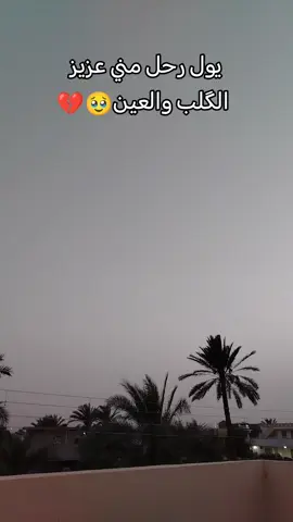 #موال #احمدالغريب #🥹💔 