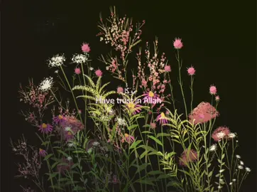 #fyp #foryoupage #trustallahsplan #hopecore #foryou 