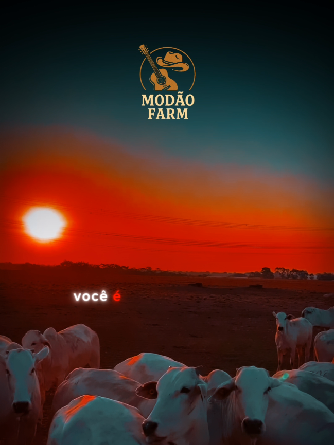 Gosta de modão com locução de rodeio e apitos? Estão todos na minha playlist compIetos! 🎼🤠🔥 | Faz um ano - Milionário e José Rico #modao #versos #agro #pecuaria #palito 