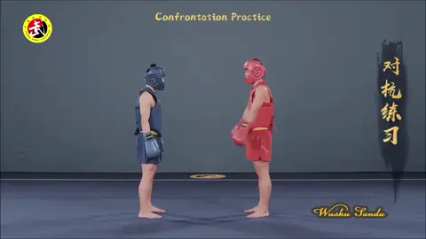 suite sur les techniques de Sanda #martialartslife #sanda #kungfu #china #Realcreator 