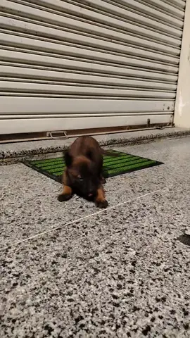 #🧿🧿🧿🧿🖐️ #بوسليم_ارض_الرجال #بنغازي_طرابلس_ترهونه_رجمة_سرت_طبرق #تونس_المغرب_الجزائر 