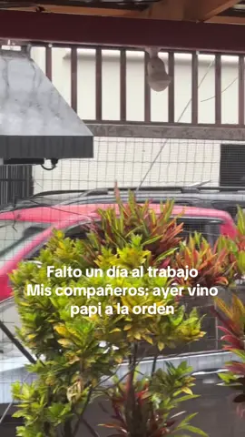 #hn #fypシ゚ #honduras🇭🇳 