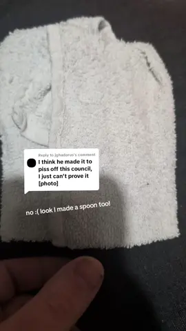 Replying to @jghadorus I would never do such a thing :( look, I made a spoon too! it's a cutie 😊 #spoontok #spoon #foryourconsideration #thecouncil #fork 