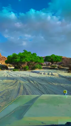 #@#اكسبلور #متابعة #تيكتوك #فولو andu.505