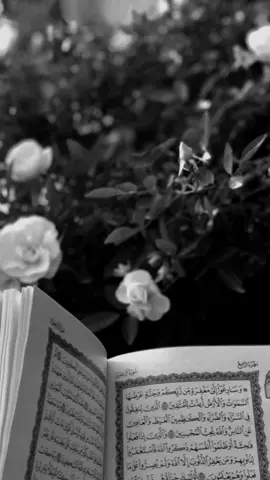 إلهي قَرَعْتُ بابَ رَحْمَتِكَ بِيَدِ رَجَائِي دعاء يريح القلوب بصوت اباذر الحلوجي#قران_كريم #تلاوة_خاشعة #fyp #capcut #tiktok 