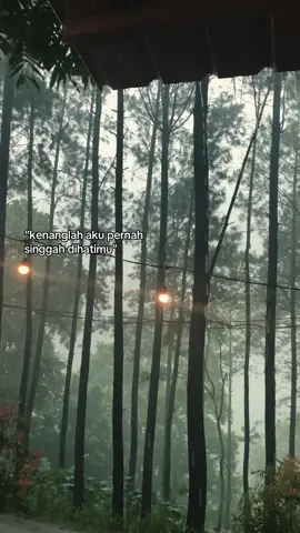 #galaubrutal🥀 #fyp 