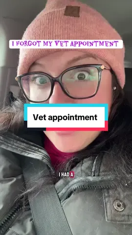 #greenscreen oopsie! 😆 #vetappointment #minihorse #miniaturehorses #equinedentist 