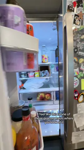 we are currently fixated on taco skillet hence the Spanish rice lol it’s a must try!! #foodiemagnets #fridgeorganization #pantryorganization #adhdhacks #adhdtiktok 