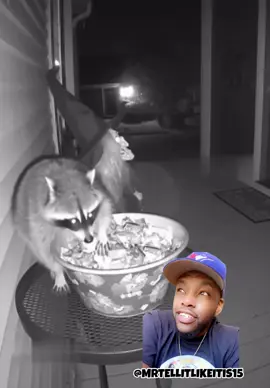 #mrtellitlikeitis252 #funnycontent #voiceovers #funnyvid 