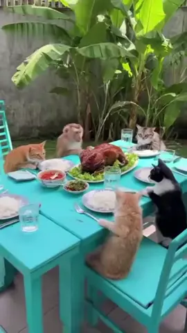 #duet dengan @Video Lucu Real Funny #ai 