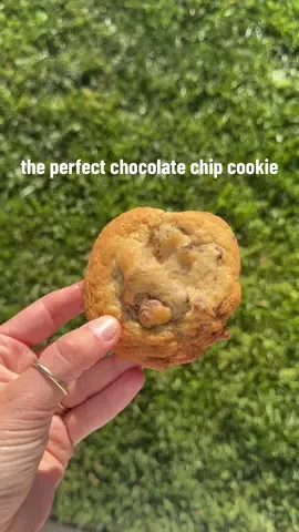 the perfect chocolate chip cookie. 