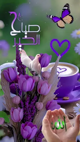 #صباحكم_معطر_بذكر_الله💚🌹🌿🌷😍🌸🙏 #صباح_الخير #صباحكم_أحلى_صباح🌹🌹 #🤲🕊️🤍🌺🌹🦋💗💙💚 #🤲🤲🕋🕋🤲🤲 