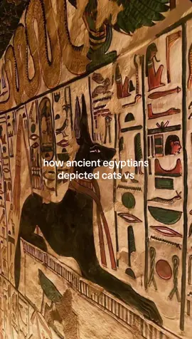 😭#fyp #plsblowthisup #historytok #trending #plsdontflop 