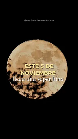 Este 5 de noviembre llega la Luna Llena de Castor, una de las más transformadoras del año✨🌕 Su energía no viene a destruir, viene a limpiar lo viejo para abrir espacio a lo que de verdad mereces👇🏼 Amor, abundancia, calma interior… todo lo que pediste, está más cerca de lo que crees 🫶 La noche del 5 de noviembre, haz este ritual: 🕯️Enciende una vela blanca y escribe en un papel todo lo que quieres dejar ir. 🔥Luego quema ese papel con cuidado, agradeciendo las lecciones, que cada situación te dejó. 🥛Toma un vaso de agua, con tus manos y di: “Limpio mi energía, libero mi pasado y me abro a lo nuevo.” 💧Bebe un sorbo de esa agua, y siente cómo tu alma se renueva.  Comenta: “Yo manifiesto con la luna”, si quieres aprovechar su energía🌙 Y si te gustaría atraer abundancia, amor y propósito, descubre mi ebook 📖 “Merezco la vida de mis sueños”, donde te enseño a manifestar, y reprogramar tu energía para vivir en plenitud✨  Haz clic en el link de mi perfil y empieza tu transformación hoy mismo🤩 #manifestacion #crecimientomanifestado #5denoviembre #lunadecastor #lunallena 