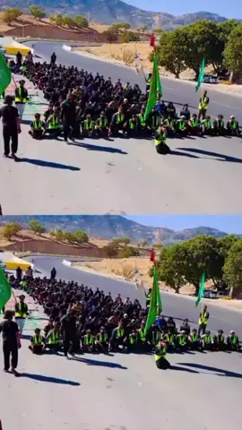 #الامام_الرضا_ياغريب_الغرباء #موكب_تعجيل_الفرج_الحسيني_عج #غريب_ال_مخلص #الامام_الرضا_عليه_السلام #لايك_فولو 