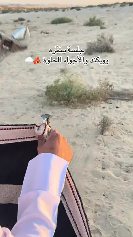 الجلسه علينا والمكان عليك 🤩#الاحساء #الوفره_تجمعنا #الاحساء_الوفره #fyp #اكسبلورر 