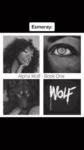 📚Alpha Wolf by Rune Hunt 💞8 men harem #wolfshifterromance #reverseharembooks #spicybookrec #whychooseromancebooks 
