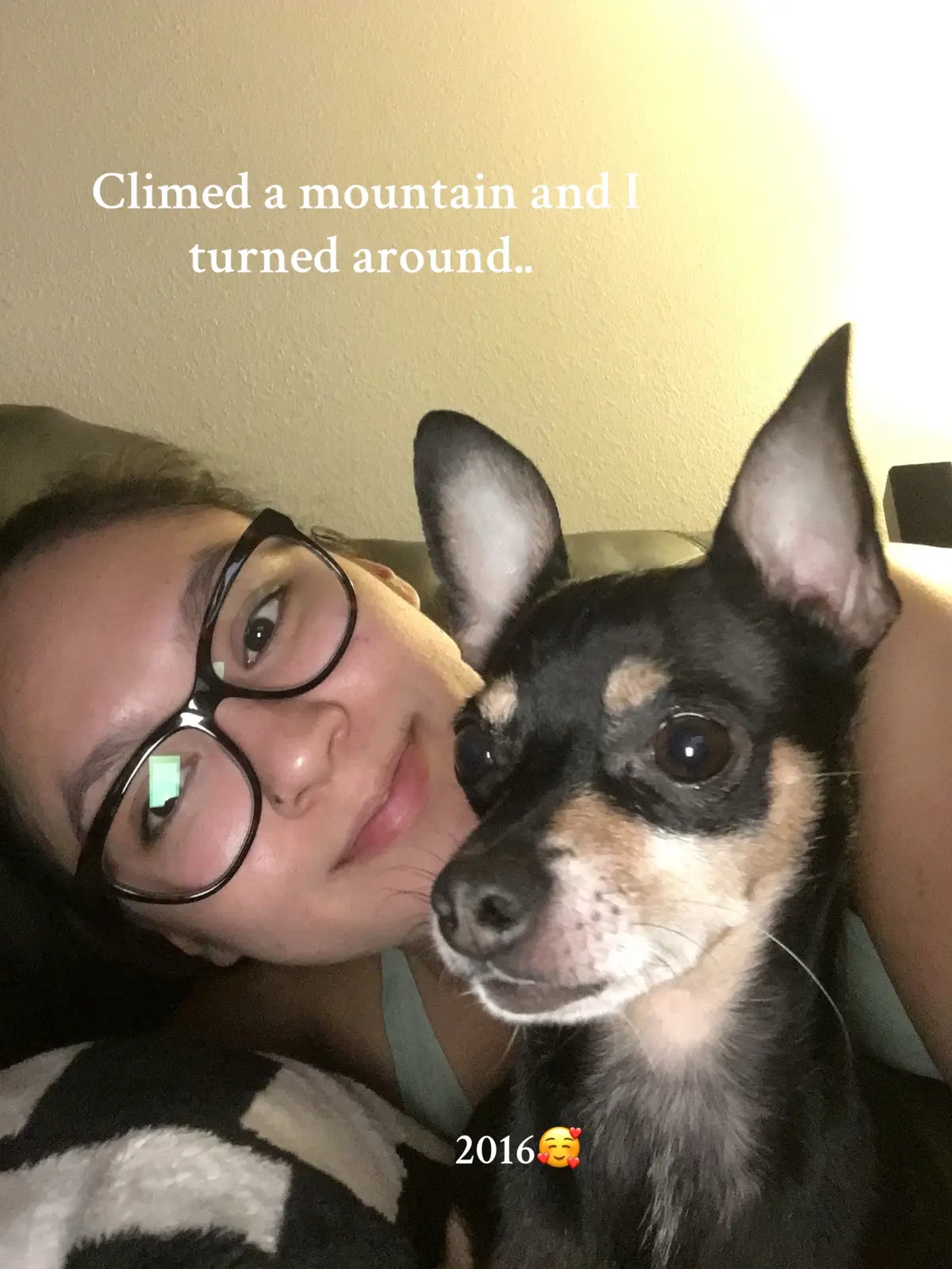 #seniordogsoftiktok #fy 